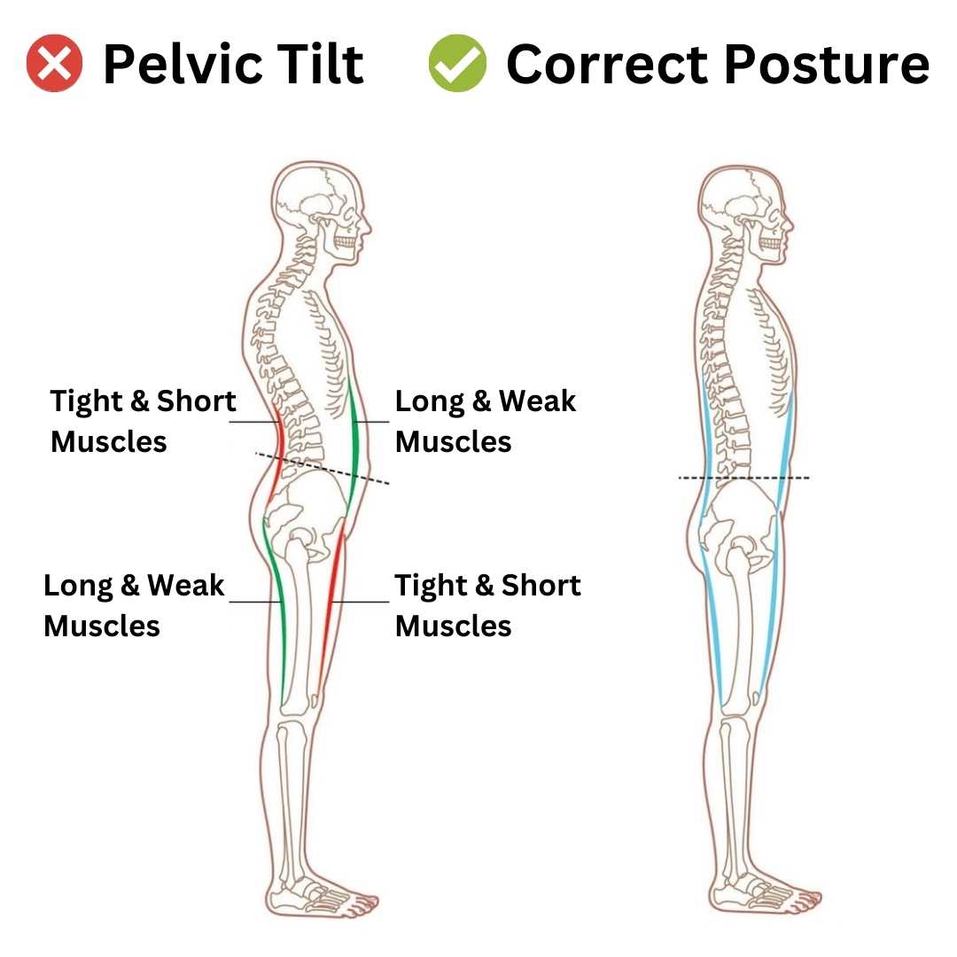 Vilatity™ Foot & Lower Back Stretcher